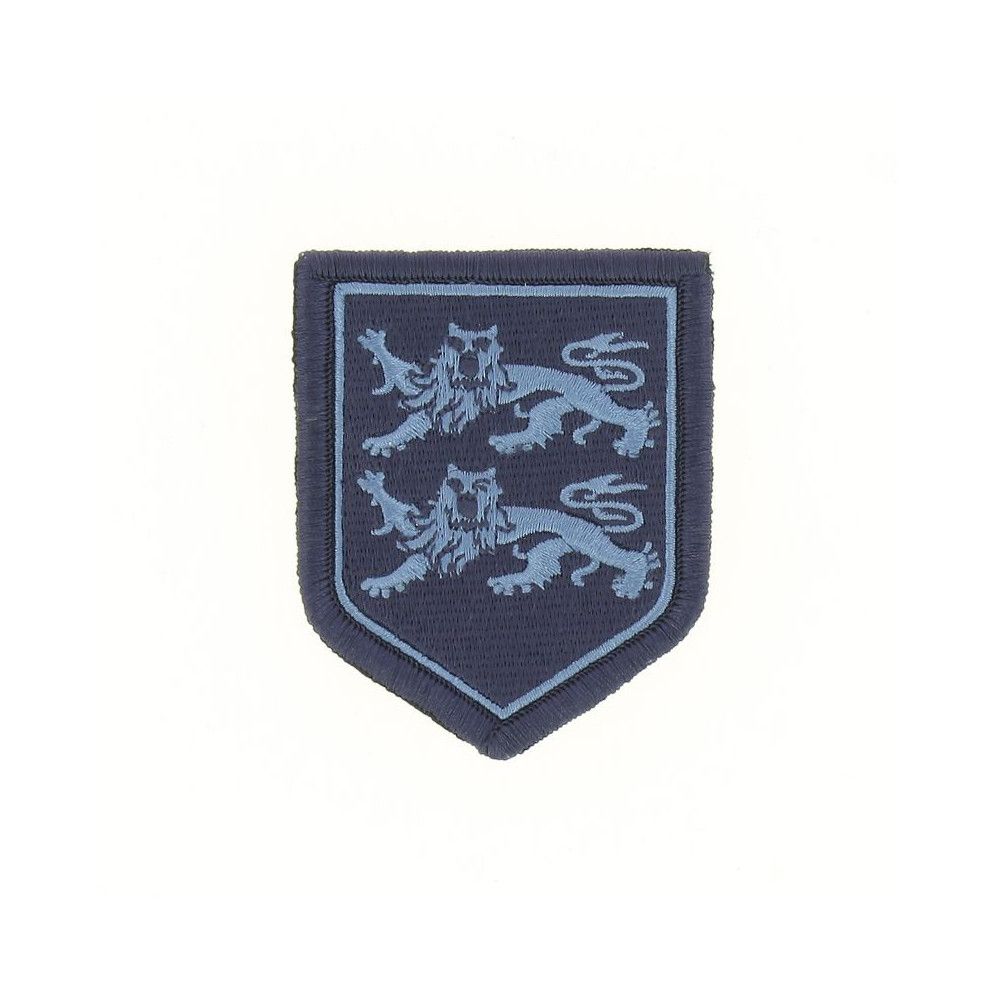 Ecusson de Bras Brode Gendarmerie Departemetale Haute Normandie Basse Visibilite Bleu