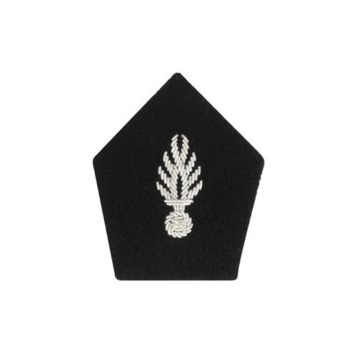 Paire d'ecus de col pour vareuse CSTAGN